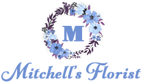 Logo-FS