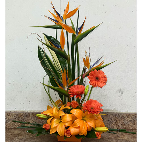 Tropicals